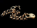 Rolo Chain Collar w/ working lock