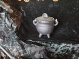 Cast Iron Cauldron w/lid