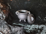 Cast Iron Cauldron w/lid