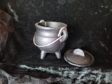 Cast Iron Cauldron w/lid