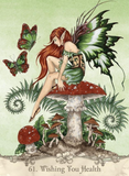 Fairy Wisdom Oracle Deck and Book Set