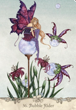 Fairy Wisdom Oracle Deck and Book Set
