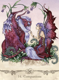 Fairy Wisdom Oracle Deck and Book Set