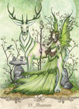 Fairy Wisdom Oracle Deck and Book Set
