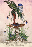 Fairy Wisdom Oracle Deck and Book Set